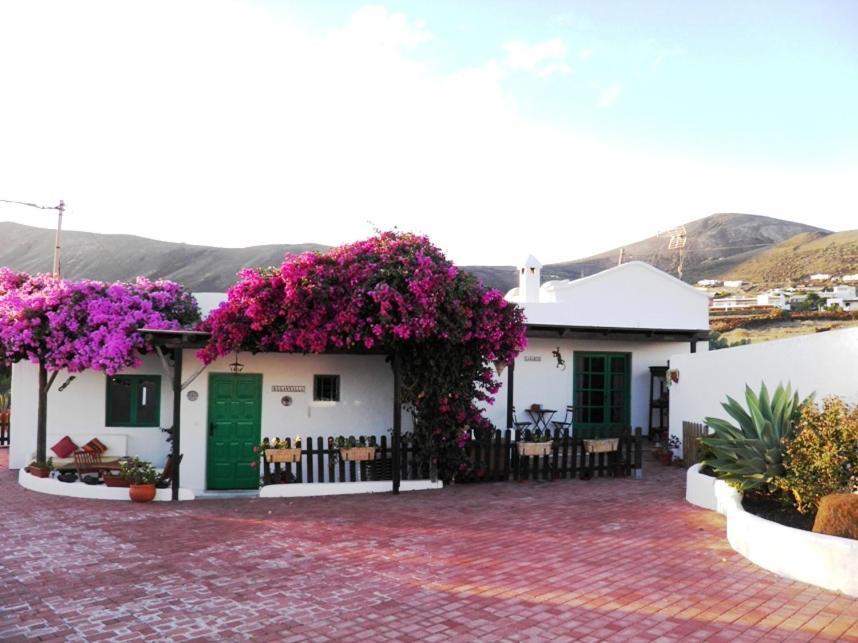 El Lagarto Appartement Mácher